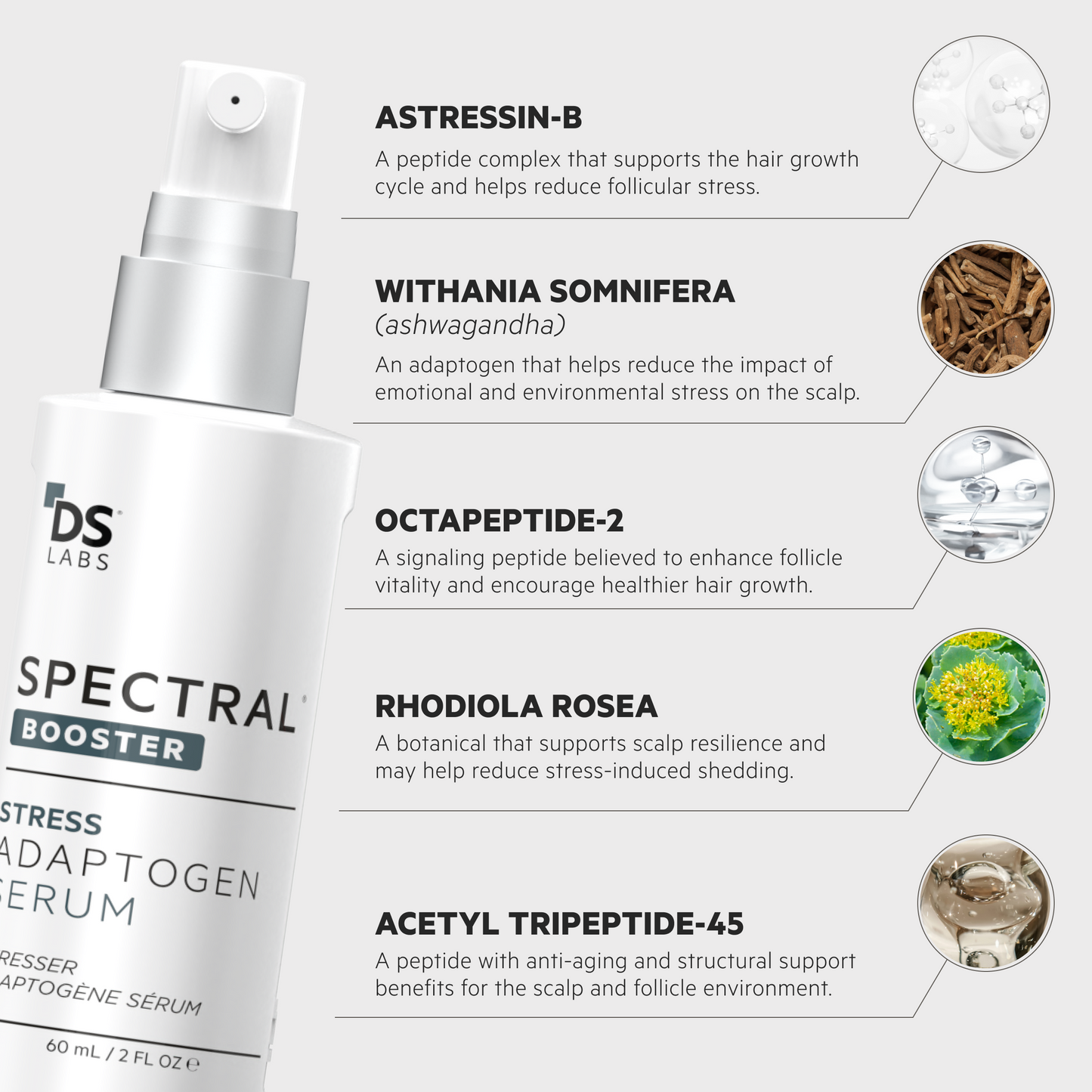 Spectral Booster | Sérum adaptógeno antiestrés